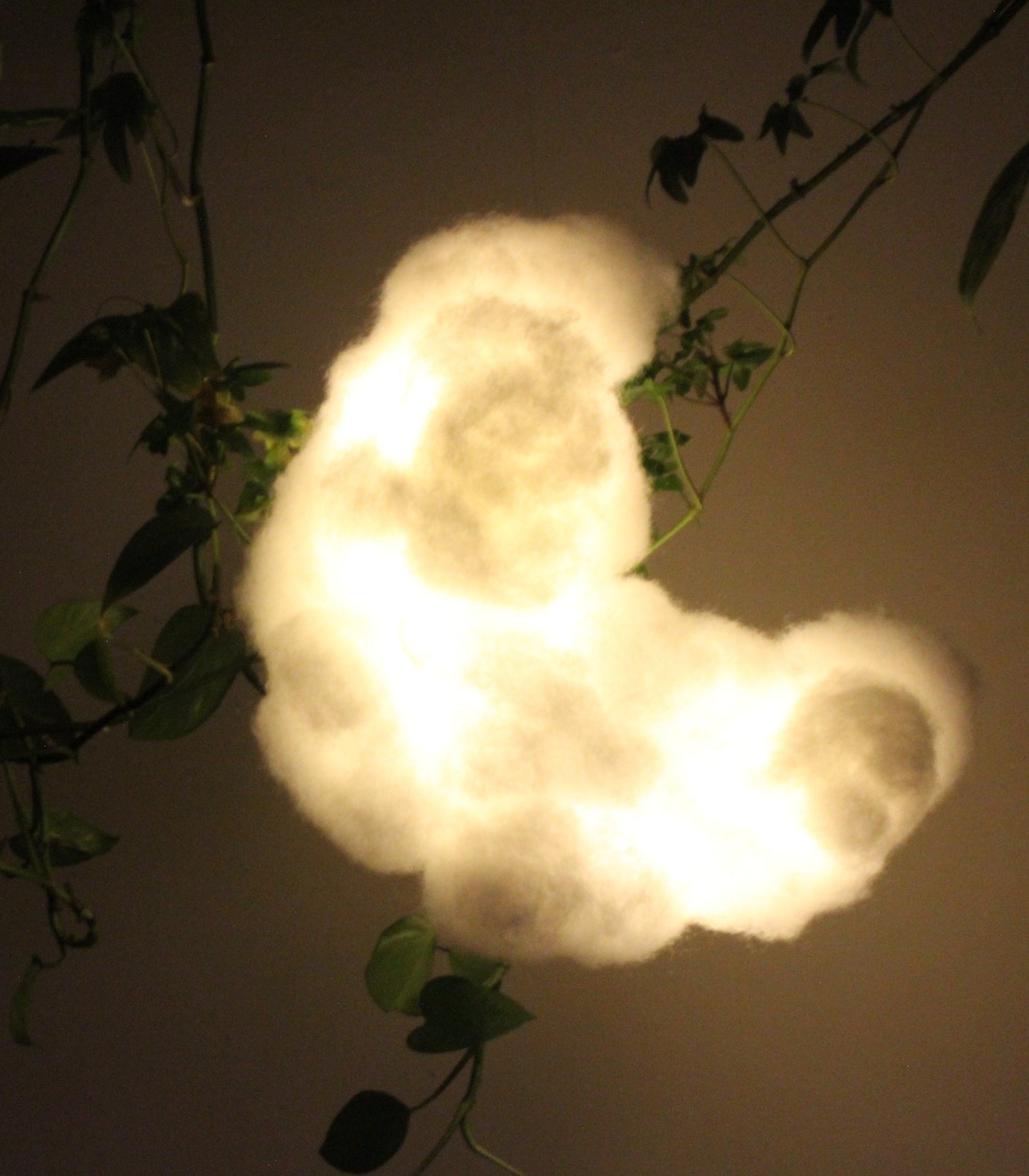 Moon Glow Cloud