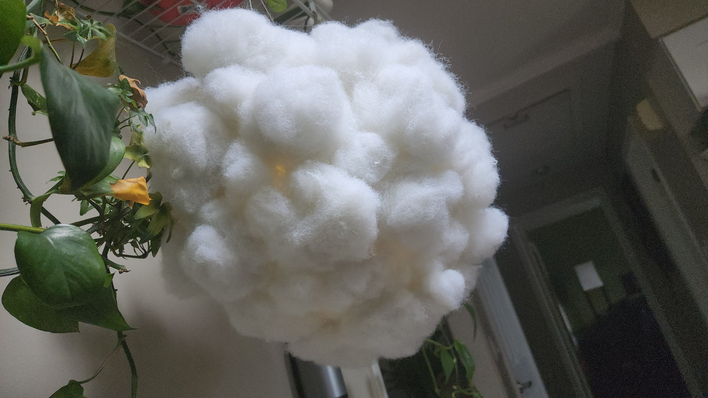 White Nimbus Cloud